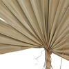 30-34" x 21" Dried Nat Super Palm 12bg - view 4 of 4