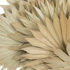 30-34" x 21" Dried Nat Super Palm 12bg - view 3 of 4