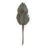 Vickerman Natural Botanicals 21" King Palm Spear, 10/Pk - view 1 of 2