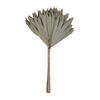 Vickerman Natural Botanicals 20" Palm Sun Stem, 12/Pk - view 1 of 6