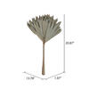 Vickerman Natural Botanicals 20" Palm Sun Stem, 12/Pk - view 2 of 6