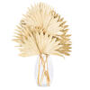 Vickerman Natural Botanicals 20" Palm Sun Stem, 12/Pk - view 6 of 6