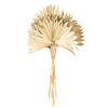 Vickerman Natural Botanicals 20" Palm Sun Stem, 12/Pk - view 5 of 6