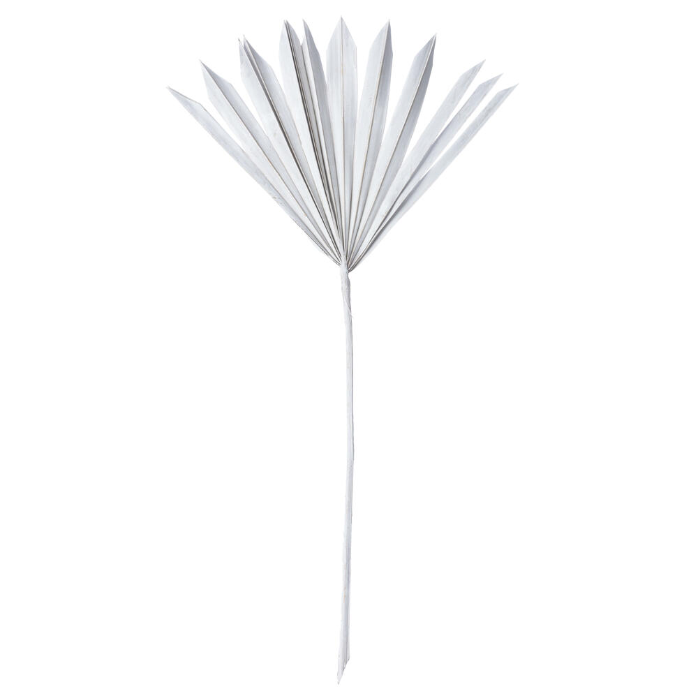 Vickerman Natural Botanicals 20" Palm Sun Stem, 12/Pk