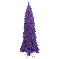 Purple Pencil