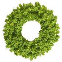 Lime Wreaths