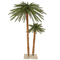 Palm Set