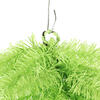 Vickerman Lime Fir Artificial Christmas Teardrop - view 2 of 4