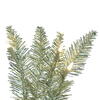 Vickerman Champagne Artificial Christmas Garland - view 2 of 6