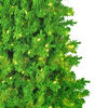 Vickerman Flocked Lime Fir Artificial Christmas Tree - view 4 of 4