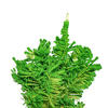 Vickerman Flocked Lime Fir Artificial Christmas Tree - view 2 of 4