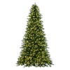 Vickerman Artificial Douglas Fir Christmas Tree - view 1 of 4
