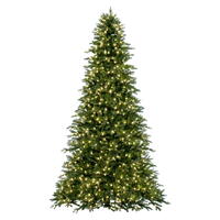 Full Trees