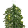 Vickerman Artificial Douglas Fir Collection - view 3 of 8