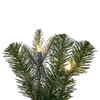 Vickerman Artificial Douglas Fir Collection - view 5 of 8