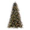 Vickerman Artificial Frosted Douglas Fir Christmas Tree - view 1 of 6