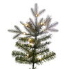 Vickerman Artificial Frosted Douglas Fir Christmas Tree - view 3 of 6