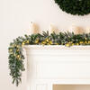 Vickerman Artificial Frosted Douglas Fir Collection - view 2 of 6