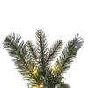 Vickerman Artificial Frosted Douglas Fir Teardrop - view 2 of 5