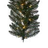 Vickerman Artificial Camdon Fir Collection - view 6 of 6