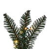 Vickerman Artificial Camdon Fir Collection - view 2 of 6