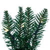 Vickerman Camdon Fir Artificial Garland, Battery Operated Lights  - view 2 of 5