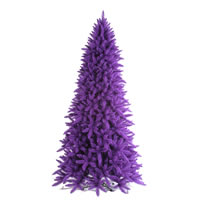 Purple Slim