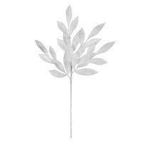 BayLeaf