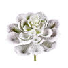 6-8" Frosted Succulents 3 Assorted/Bag - view 4 of 6
