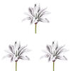 6-8" Frosted Succulents 3 Assorted/Bag - view 6 of 6