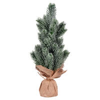 Frosted Spruce