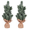 Vickerman Frosted Spruce Sapling Artificial Christmas Tree - view 2 of 3