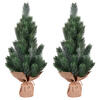 Vickerman Blue Spruce Sapling Artificial Christmas Tree - view 2 of 3