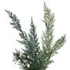Vickerman Mixed Greenery Wreath - view 5 of 5