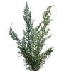 Vickerman Mixed Greenery Garland - view 4 of 4