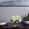 5" Clear Bubble Glass Container Set/2 - view 2 of 4
