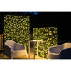 Vickerman Artificial Boxwood Cube Hedge - view 2 of 7