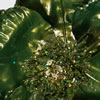 Vickerman 14" Pearl Poppy Spray - view 2 of 2