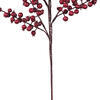 Vickerman 24" Crab Apple Mixed Berry Spray - view 3 of 4