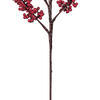 Vickerman Cluster Berry Spray - view 4 of 5