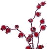 Vickerman 28" Winter Icy Berry Wreath - view 5 of 5