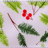 Vickerman 2.5" x 10 yd Holly Berry Ribbon - view 2 of 2