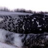 Vickerman Faux Fur Pillows - view 3 of 4