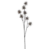 Urchin Sprays