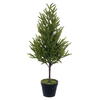 Vickerman Green Norfolk Potted Trees - view 1 of 3