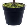 Vickerman Green Norfolk Potted Trees - view 3 of 3
