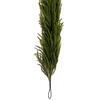 Vickerman Green Norfolk Garlands - view 4 of 5