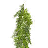 Vickerman Artificial Green Stovall Cedar Pine Artificial Series - view 3 of 3