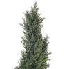 Vickerman Artificial Pond Cypress Spiral - view 3 of 4