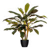 Vickerman 30" Artificial Real Touch Dracaena - view 1 of 6